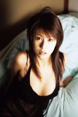粉红大白菜